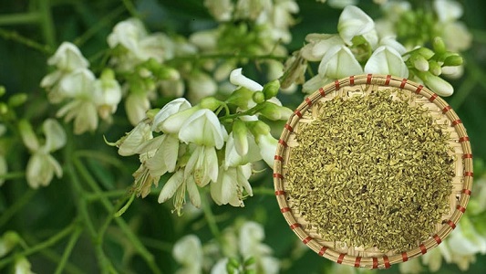 Product Info Image 2